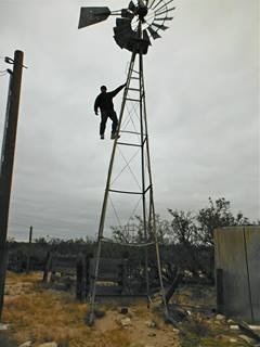 ImageUploadedByTaco Forum1385335128.938018.jpg