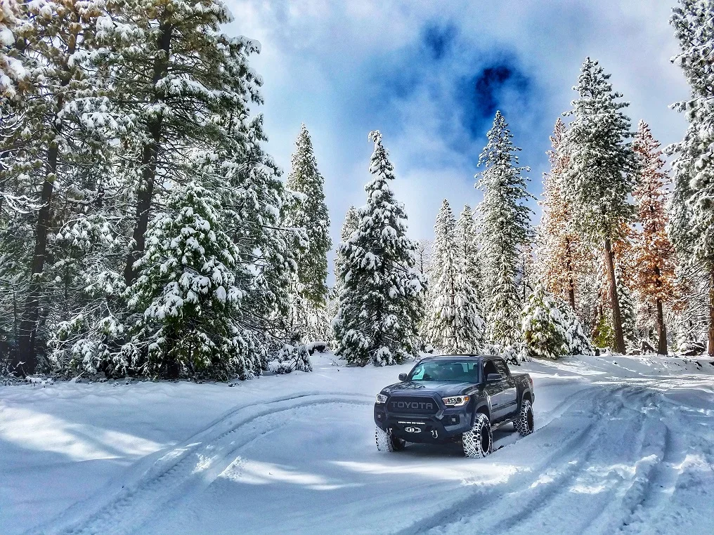 snow shot.webp
