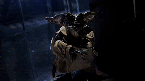 IMG_1437.GIF