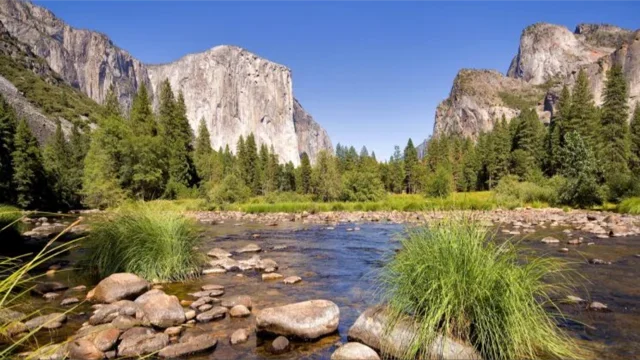 image1.webp