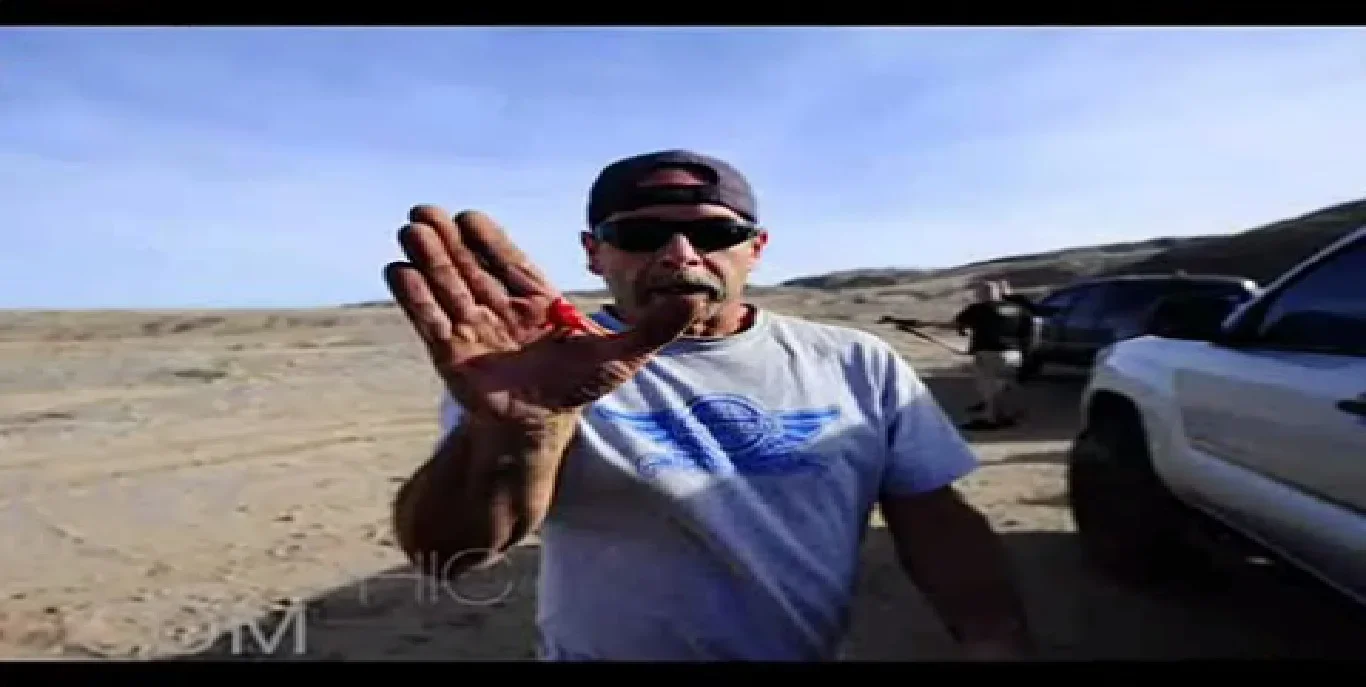 PDVD_179.webp