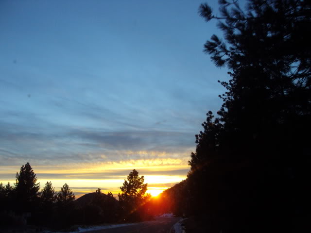 DSC03807.jpg