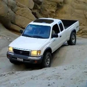 426282-384b072fc6e37588ab57a182d21d4d6d.webp