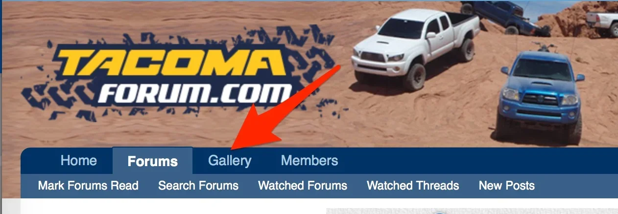 Gallery.webp Gallery.webp