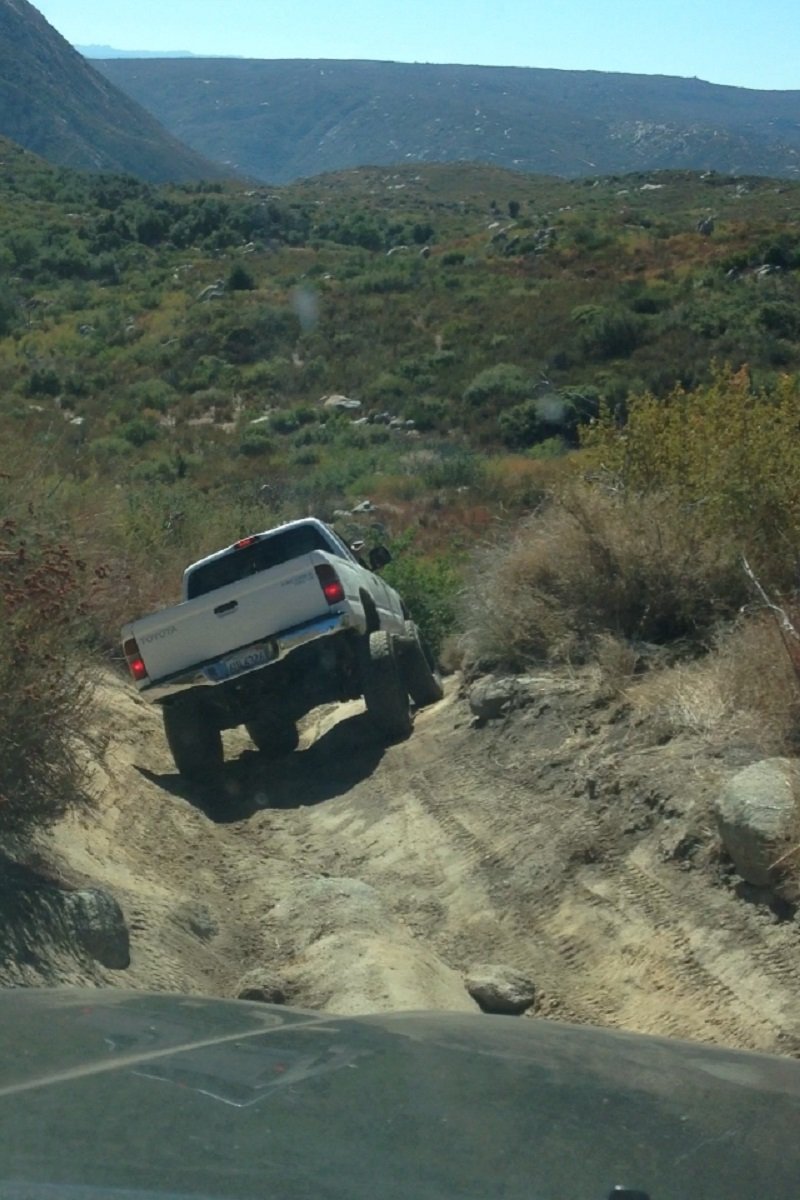bronco (640x960) (2) (640x960).jpg