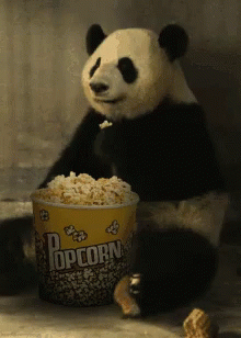 C7B4B84E-D00F-4CD5-8247-204102F20914.gif