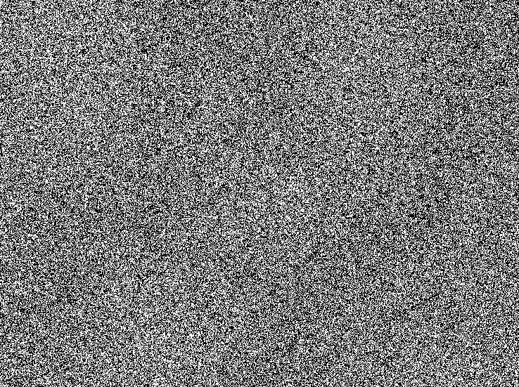 981B1748-6E7C-492D-8309-A89FC2B33C8E.gif