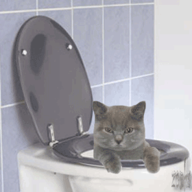 0AC194A9-DABE-4D68-94B3-BD694B12D5B8.gif