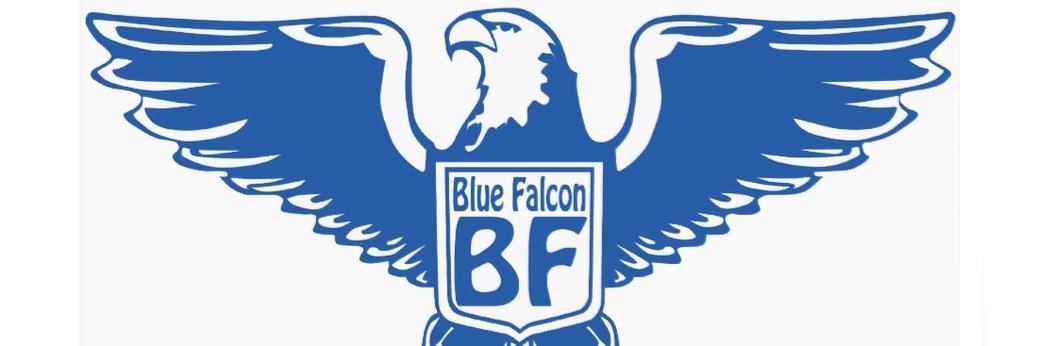 blue_falcon2.jpg