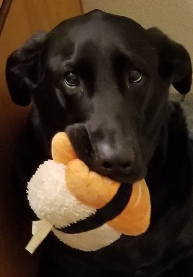 20180302_161629.jpg