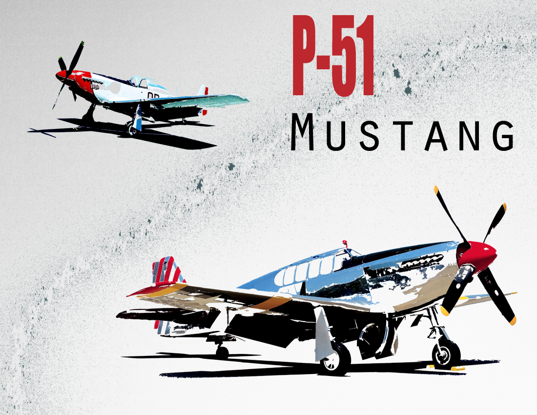 P51.png