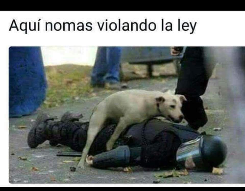 FB_IMG_1523234760323.jpg