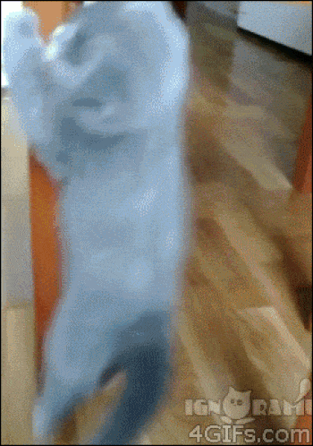CE9409EB-6773-428B-AB02-CB31462E52AB.gif
