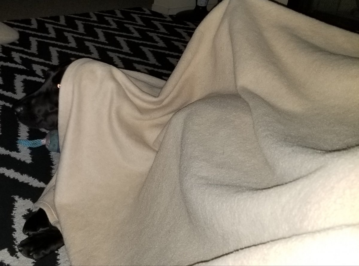 20180419_213301.jpg