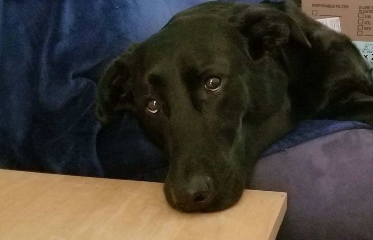 20180424_221818.jpg