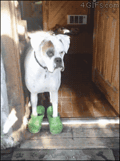 afdf20ba9fdd10e1979706896863b7fe.gif