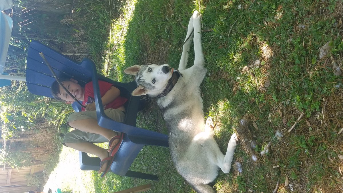 20180506_140148.jpg