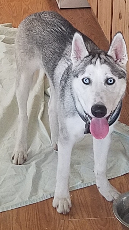 20180611_203446.jpg