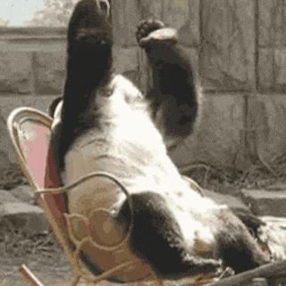 75653951-AF15-4716-84E7-078C19DF4107.gif