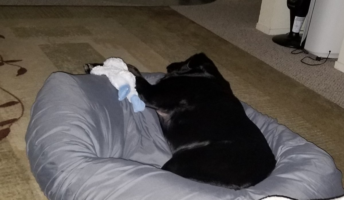 20180626_221316.jpg