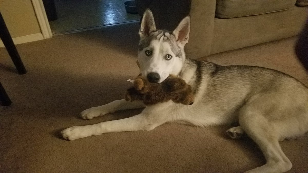 20180701_183923.jpg