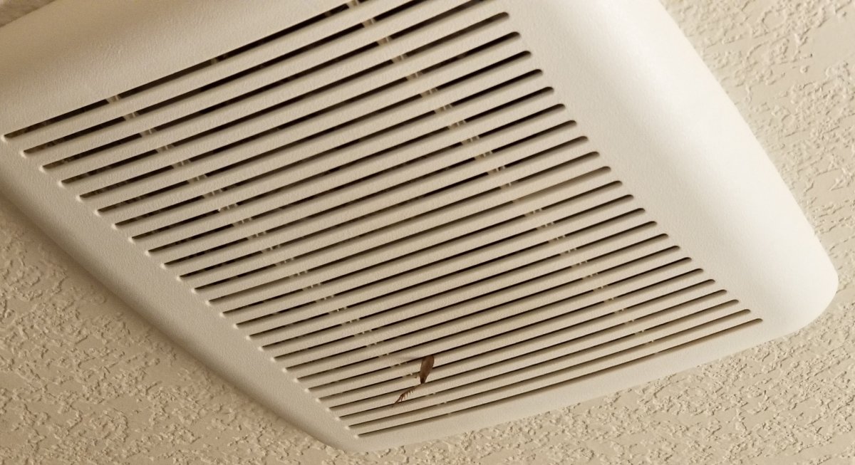 20180715_142911.jpg