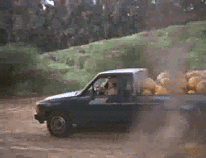 F2E379FC-A3A8-4D64-8436-AC04B3D86BB3.gif