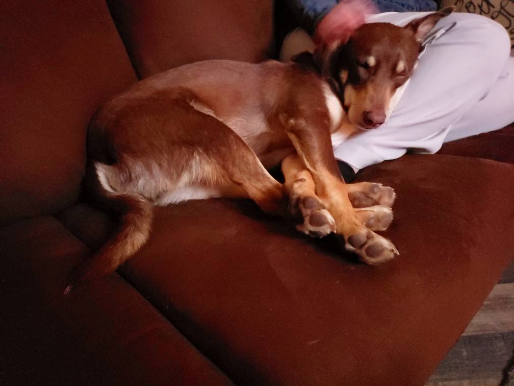 20181109_225332.jpeg