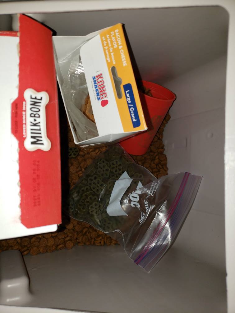 20181115_213854.jpeg