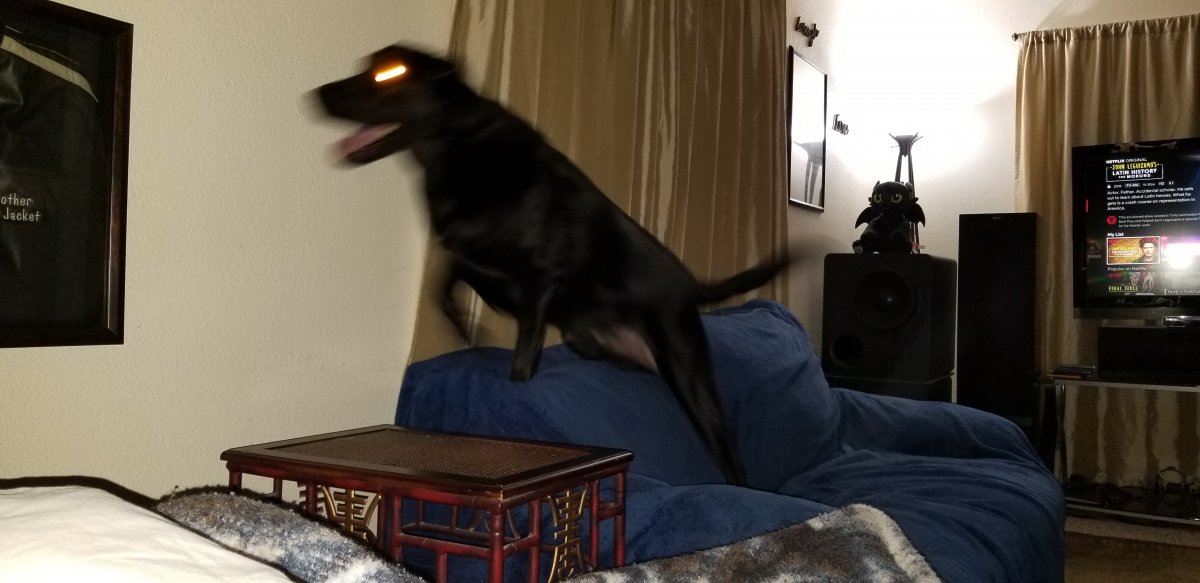 20181130_132741.jpg