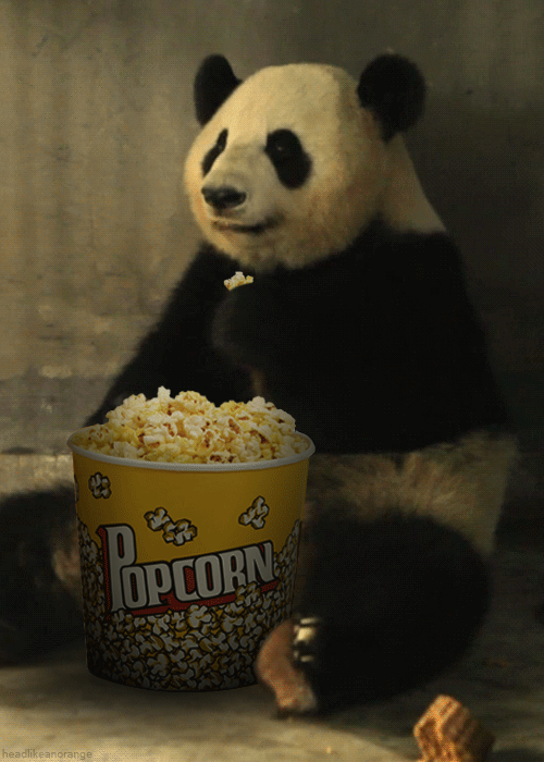 69062CC3-22C2-4109-B3DA-9A6B0A64EE5C.gif