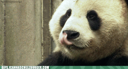 26C3F056-F8D9-4240-B629-05DCD369F493.gif