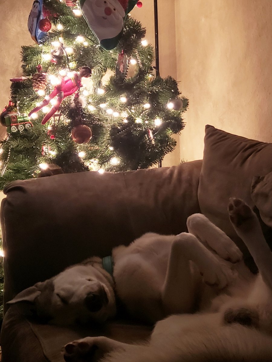 20181219_205420.jpg