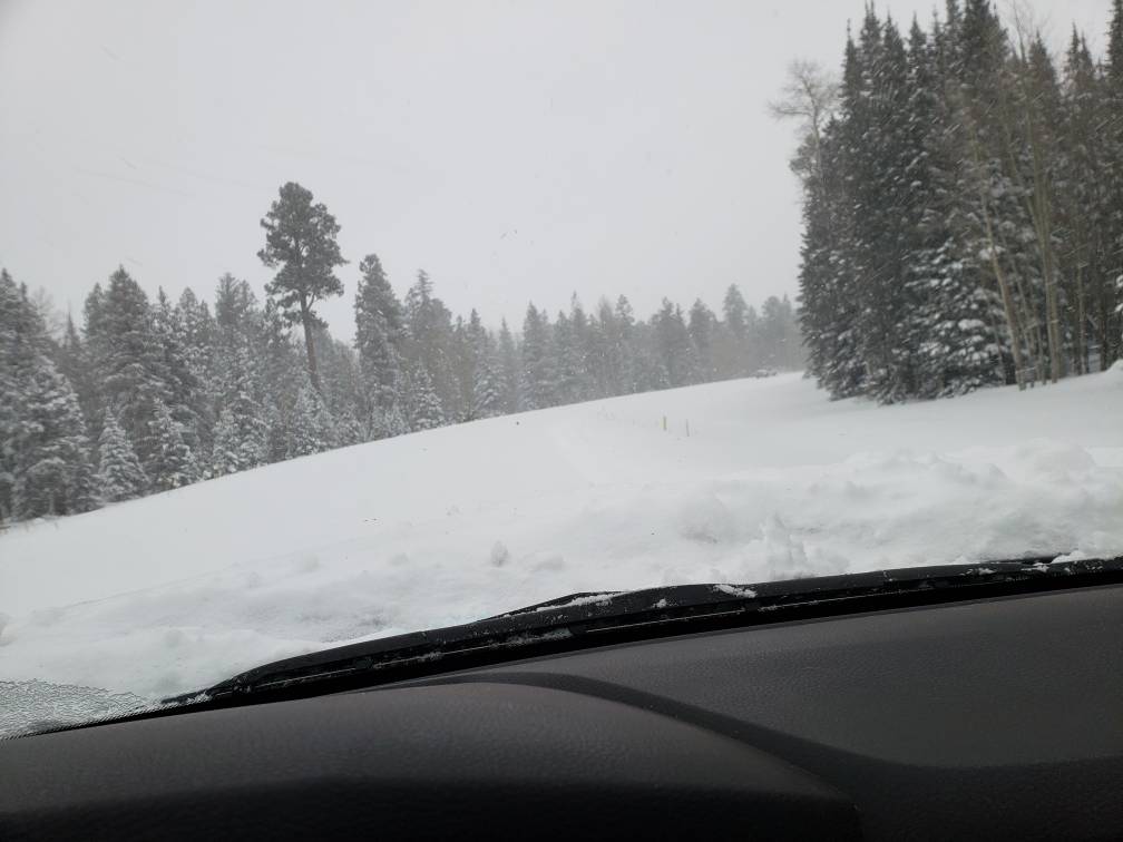 20181226_140321.jpeg 20181226_140321.jpeg