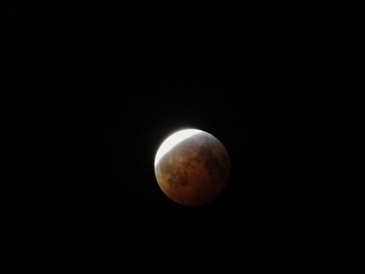 DSCN2057.jpg