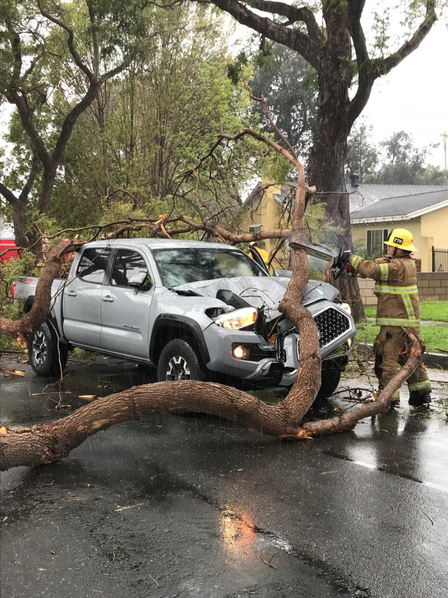 Storm Damage | Tacoma Forum - Toyota Truck Fans