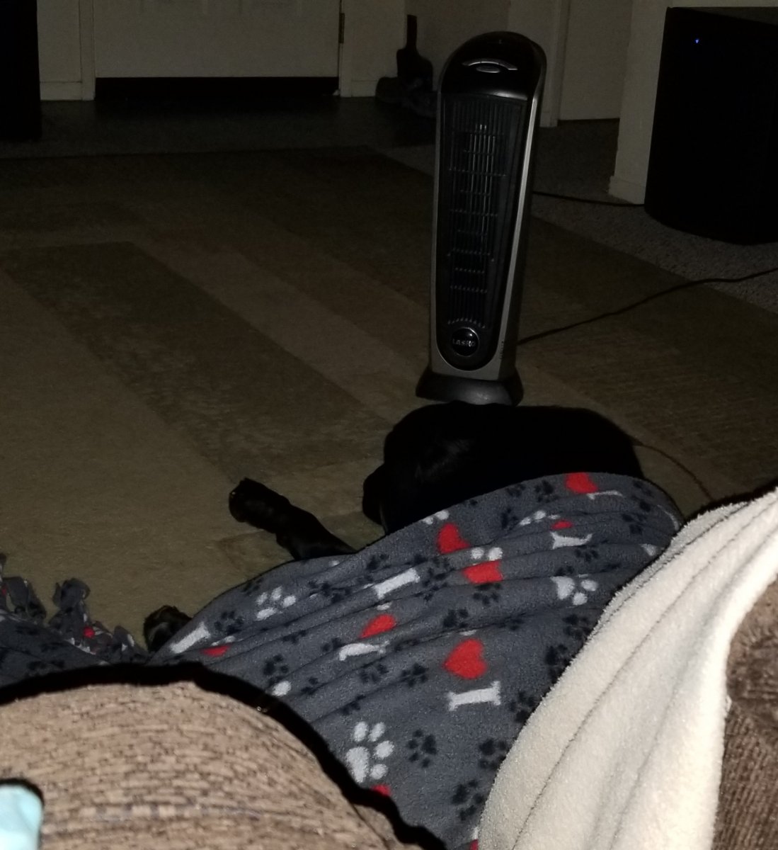 20190207_205832.jpg