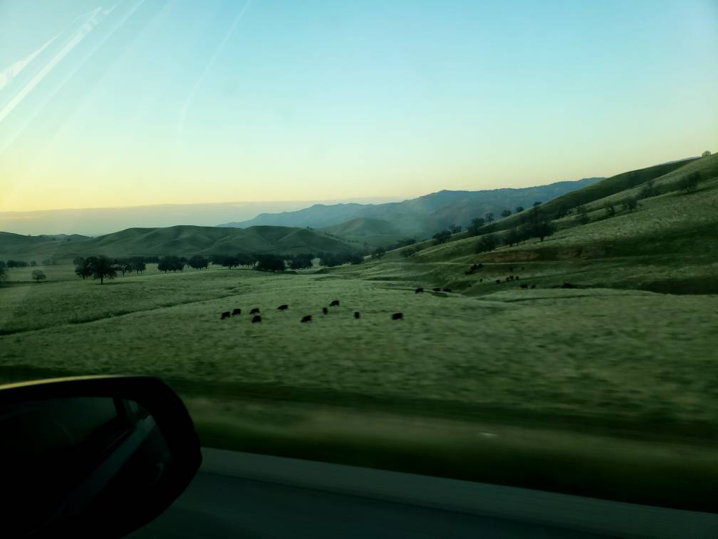 20190208_172257.jpeg