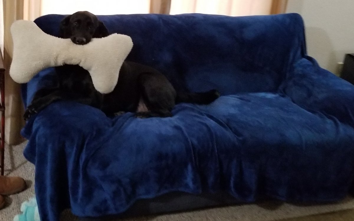 20190306_121958.jpg