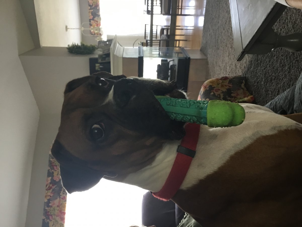 C8207220-0001-422C-ADD5-48C373ADB26E.jpeg