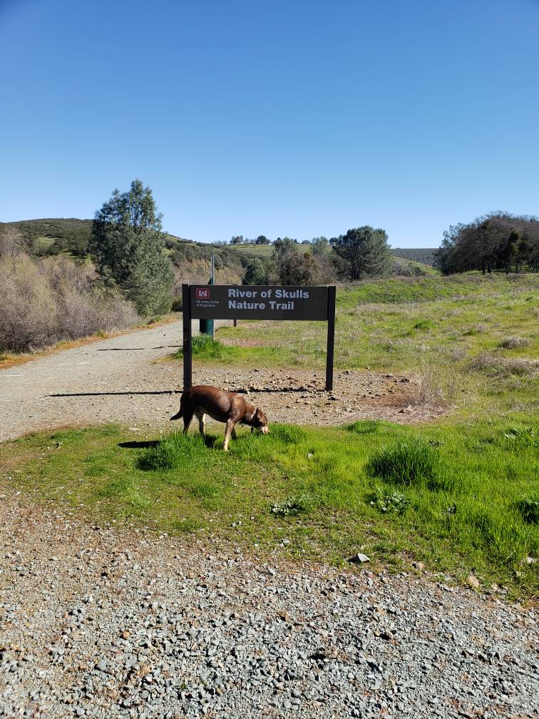 20190313_110905.jpeg