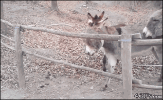 8387B9E3-6AC4-48A0-828E-D7580E4178AC.gif