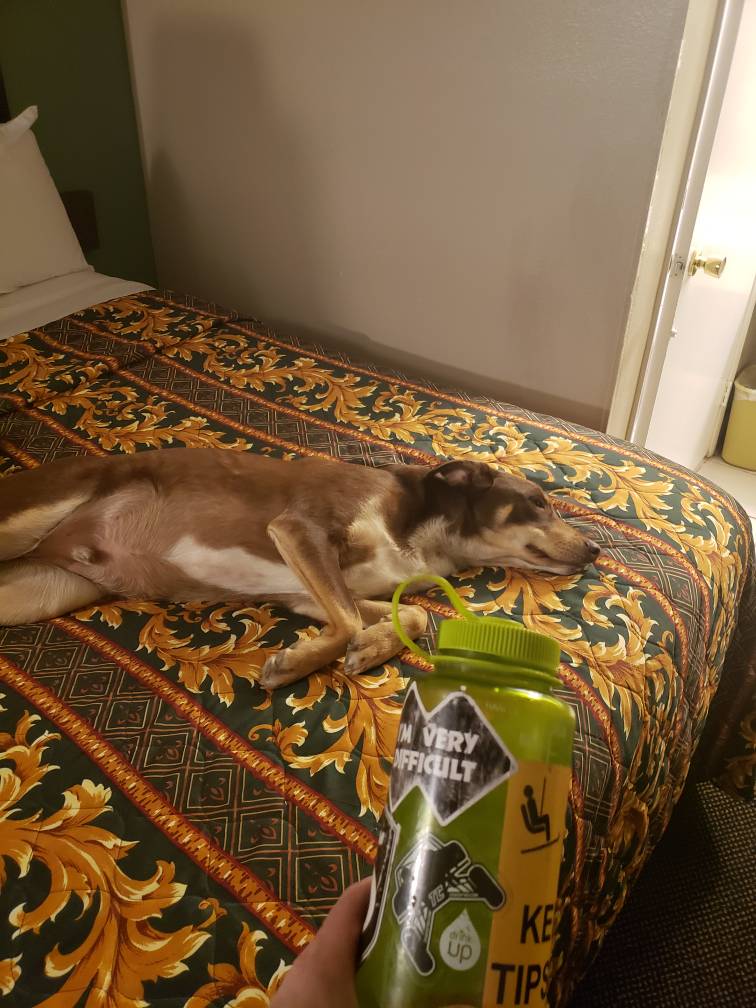 20190323_213026.jpeg
