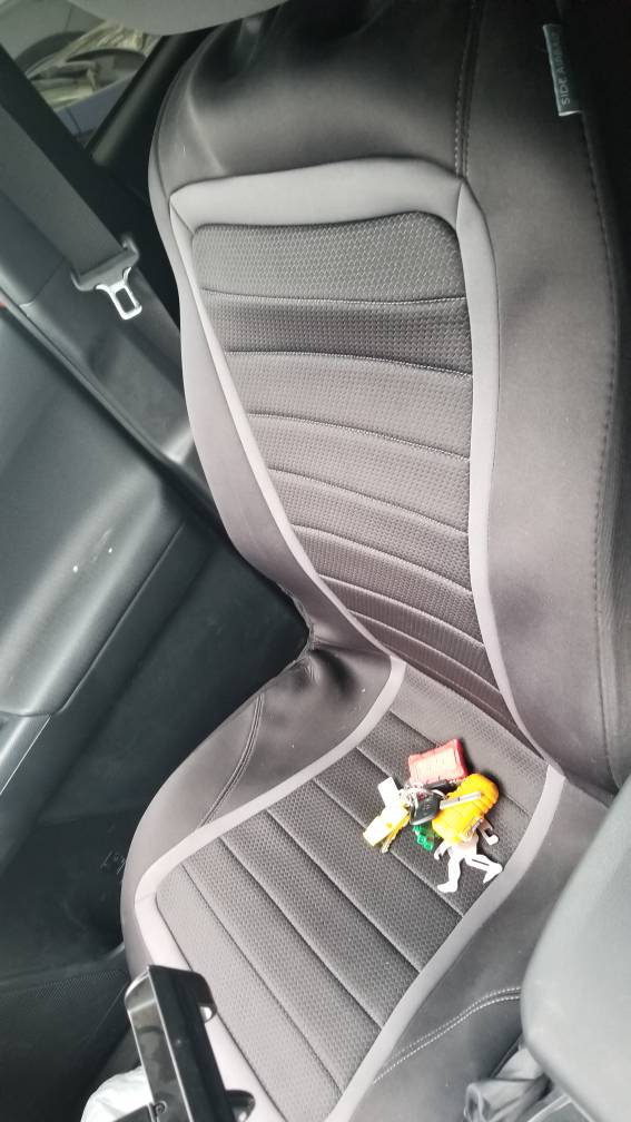 20190411_075603.jpeg