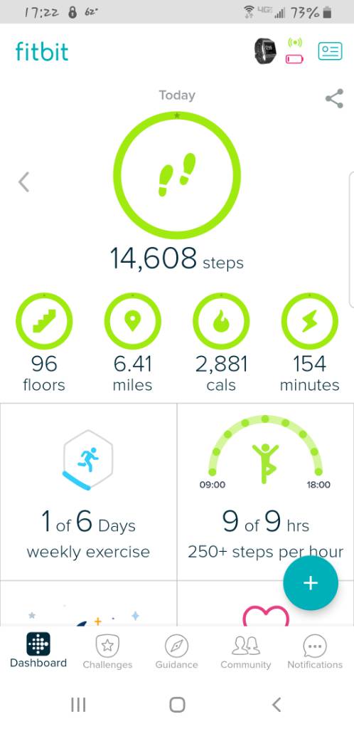 Screenshot_20190414-172234_Fitbit.jpg