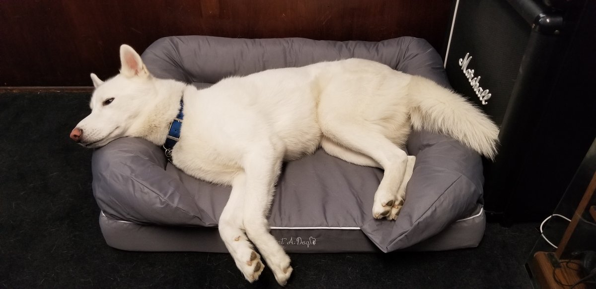 20190326_102134.jpg
