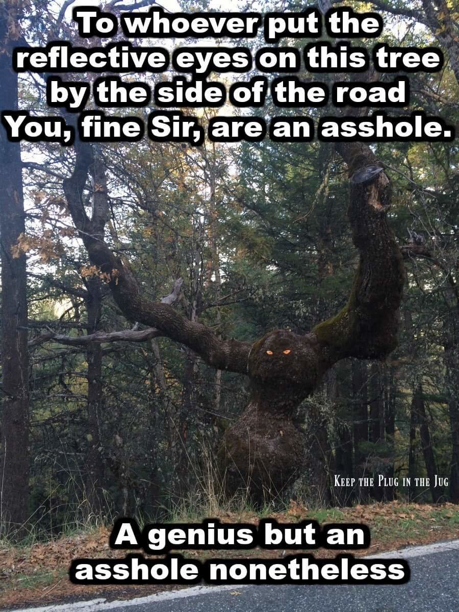 5032E82E-239A-4DF8-A86A-88F9E7D6E24C.jpeg