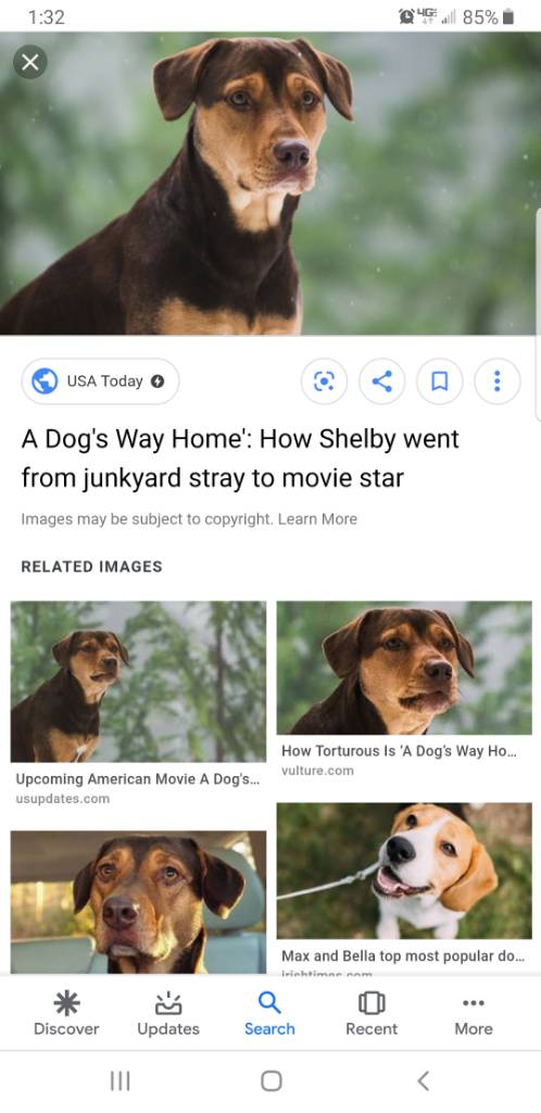 Screenshot_20190522-133251_Google.jpg