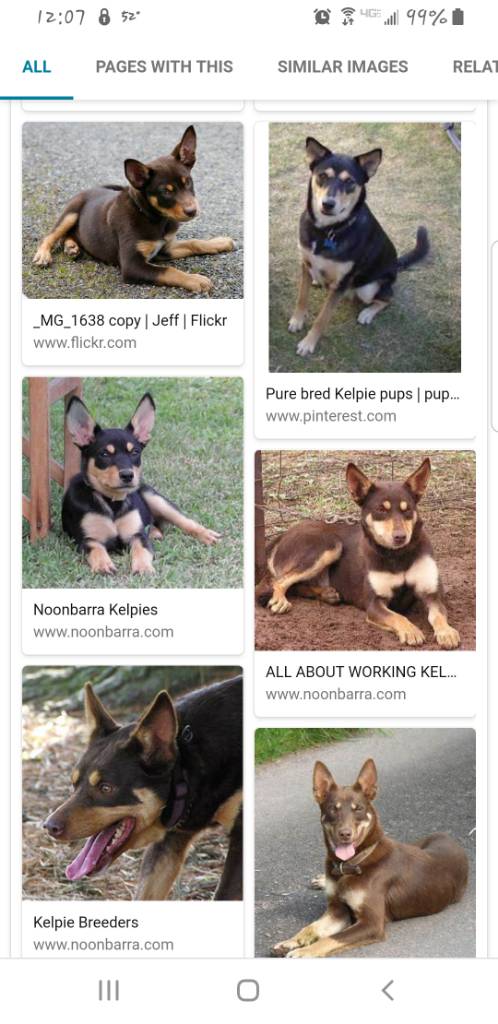Screenshot_20190522-120720_Chrome.jpg