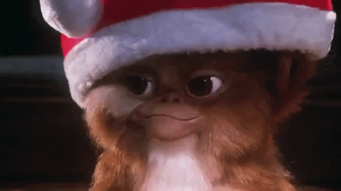 IMG_0164.gif